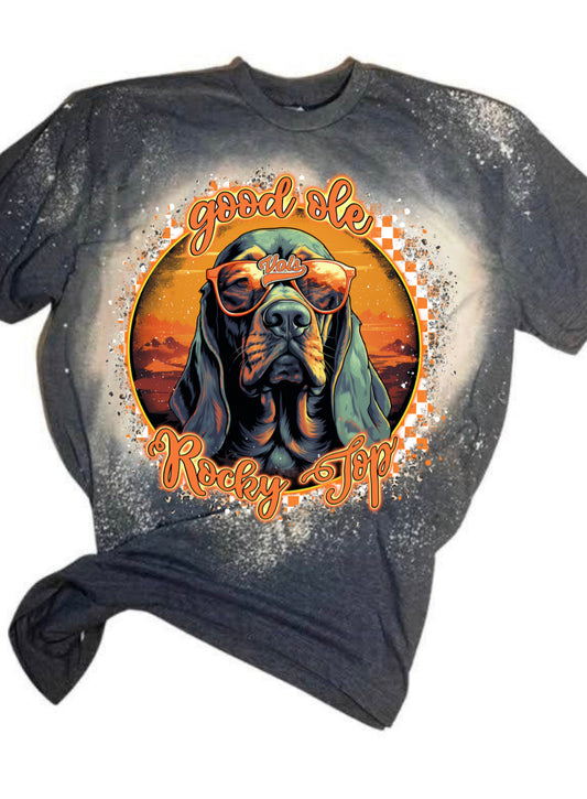 Rocky top bleached shirt